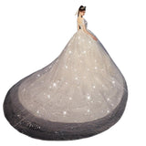 Junmei Dream 2026 Elegant Women's Lace Long Wedding Dress With Sleeve Shawl Temperament Wedding Dress HZ0517