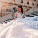 Wedding Dress Big Tail Wedding Dress Bride 2026 New Waist V-Necked Back Wedding Dress HZ0517