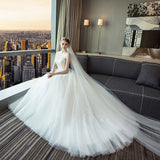 2026 New Wedding Dress Perspective Back To The White Lace Korean Dress Female Tug-And-Tailed Bridal Wedding Dress HZ0517