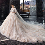 Light Wedding Dress 2026 New Bridal Temperament Hebsen System Super Fairy Dream Star Long Tail Deep V HZ0517