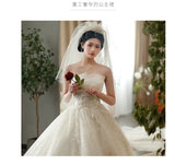 Wedding Dress 2025 New Bridal Yarn Tail Small Man Together To Go Out Of The Yarn Temperament Simple Thin White HZ0517