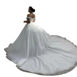 V Collar Fish Tail White Lace Shoulder Small Tail Heavy Industry Main Wedding Dress Supply HZ0517