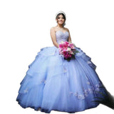 New Brated Long Wedding Dress Purple Net Taupong Skirt Birthday Party Princess Dress Dress HZ0517