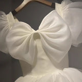 Light Wedding Dress 2026 New Bride Wedding Long French Mori Senior Sense Small In The Escape Princess Light Dress HZ0517