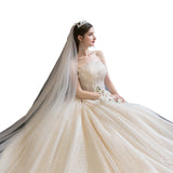 Light Wedding Dress 2026 New Temperament Tailed Bride Small Simple Breasts High-End Luxury High-End Dress HZ0517