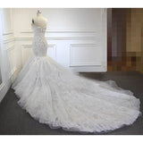 2026 New Lace Long Tailed Brao Fishtail Wedding Slimming Bride Wedding HZ0517