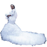 Wedding Dress 2026 Spring New Bridal Lace Long-Sleeved Fishtail Thin Main Wedding Dress HZ0517