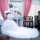 Wedding Dress 2026 Spring New Bridal Lace Long-Sleeved Fishtail Thin Main Wedding Dress HZ0517