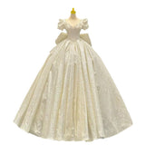 French Retro V-Neck Wedding Dress Bride 2025 New Fugitive Princess High Texture Big Tail Yarn HZ0517