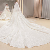 Long-Sleeved French-Style Light Main Wedding Dress 2026 New Bridal Wedding Temperament Dream Court Style Starry Tail Wedding Dress HZ0517