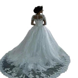 African Wedding Dress 2026 New Round-Neck Long Sleeve Perspective Lace White Drag-Tailed Wedding Dress HZ0517