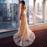 Long-Sleeved 2026 Spring New High-Collar Bride Repair Wedding Dress Fish Tail Small Tail Perspective Bare Back Lace Wedding Dress HZ0517