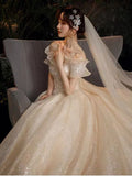 Starry Sky Pregnant Women Light Main Wedding Dress 2025 New Temperament Bride French In-Fleeing Princess Simple Atmospheric Tail Super Fairy HZ0517