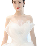Brased Light Wedding Dress 2025 New Bridal Small Master Yarn French Simple Temperament Big Tail Yarn HZ0517