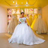 Wedding Dress 2026 New Mid-Rise Long-Sleeved Lace White French Heavy-Weight Shoulder Big Tail Wedding Dress Spring HZ0517