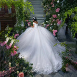 Mori Wedding Dress 2026 New French Lace Bride Wedding Yarn Go Out Yarn Small Tail HZ0517