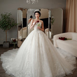 Starry Sky Main Light Wedding Dress 2025 New Temperament Bride Tectoral Family Luxury Tail Simple Temperament HZ0517