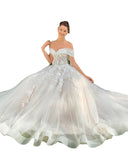 2026 New Sexy Lace Side-To-Shoulder Wedding Dress Bridal Dress HZ0517