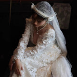 French Travel Photography Heavy Industry High-End Light Wedding Dress 2025 New Bridal Lace Long Sleeve Wedding Yarn HZ0517