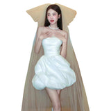 French Braed Light Wedding Dress Small Bridal Short-Sized Bridal Ponve Dress Registration Engagement White Evening Dress HZ0517