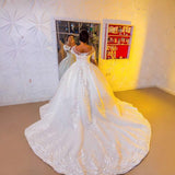 Wedding Dress 2026 New Mid-Rise Long-Sleeved Lace White French Heavy-Weight Shoulder Big Tail Wedding Dress Spring HZ0517