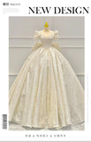 French Retro V-Neck Wedding Dress 2026 New Bride At The Runaway Princess Punt Skirt High-End Texture Small Tail Heavy Industry HZ0517