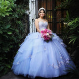 New Brated Long Wedding Dress Purple Net Taupong Skirt Birthday Party Princess Dress Dress HZ0517