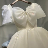 Light Wedding Dress 2026 New Bride Wedding Long French Mori Senior Sense Small In The Escape Princess Light Dress HZ0517