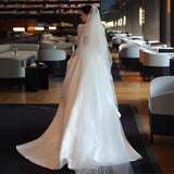 French Light Wedding Dress New Light Luxury Bride's Bridal Fasci Surface Small Tailings Linen Long-Sleeved Lace Yarn HZ0517