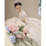 Bridal Main Wedding Dress 2026 New Spring V-Neck Long Sleeve Tail Court Windy Large-Size Pregnant Woman Light HZ0517