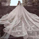 2026 New Wedding Dress African Bride Wedding Lace Long-Sleeved Wedding Dress HZ0517